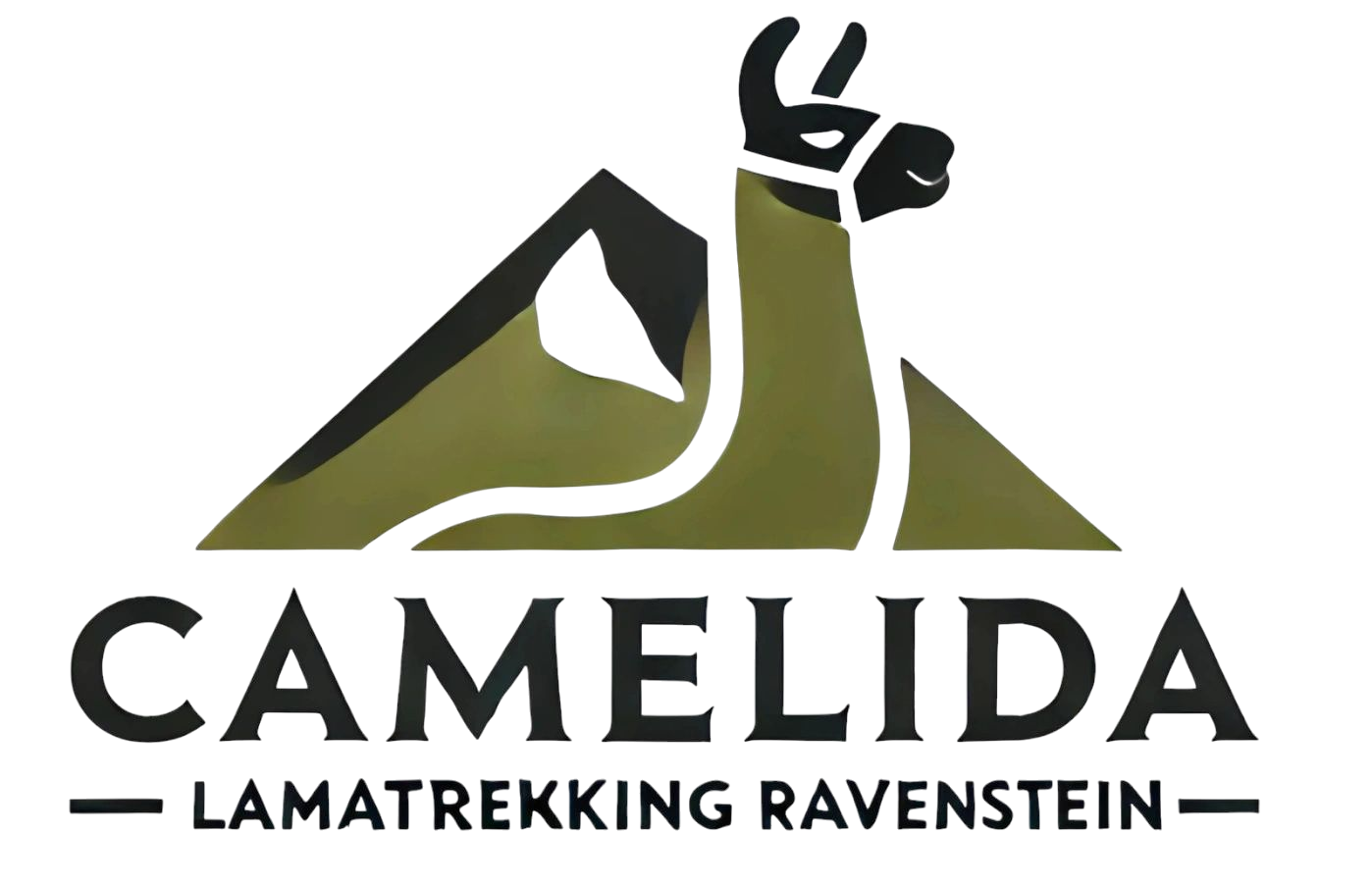 Camelida